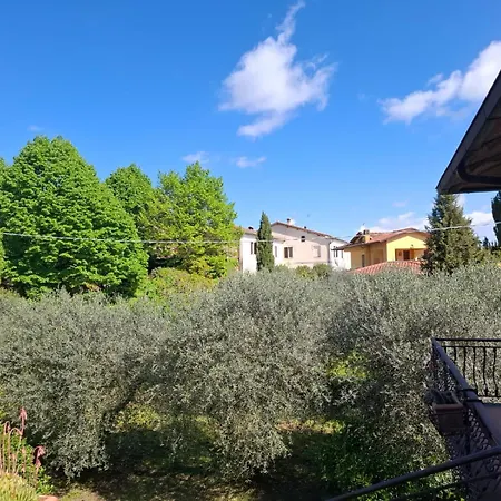 L'olivo, In Campagna