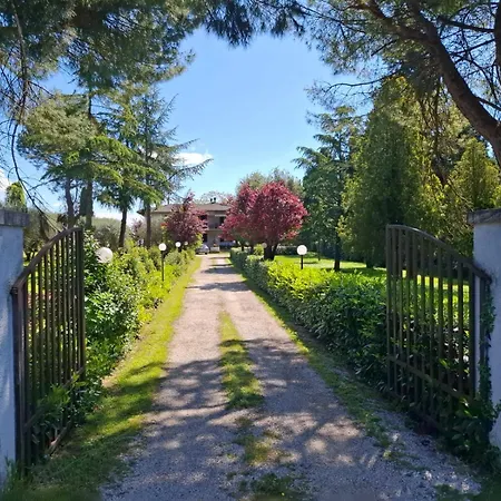L'olivo, In Campagna Bettolle