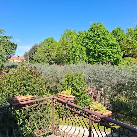L'olivo , In Tuscany