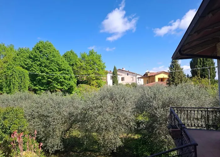 L'olivo , In Tuscany