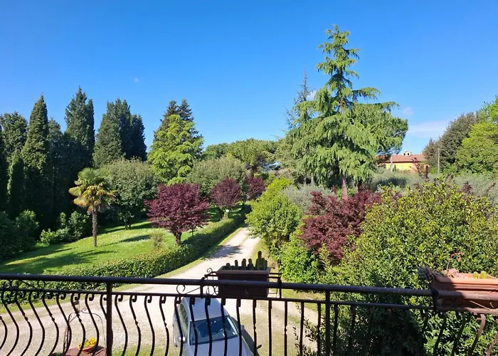L'olivo , In Tuscany Apartment Bettolle