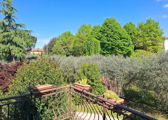 L'olivo , In Tuscany